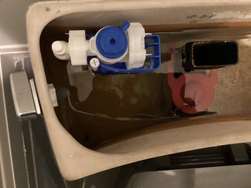 Completed installation of new gray toilet fixture in residential bathroom. Installed fill valve assembly with blue components and black flapper valve with red chain linkage, ensuring proper flush mechanism operation. Verified all connections for proper sealing and tested flush cycle for optimal performance.