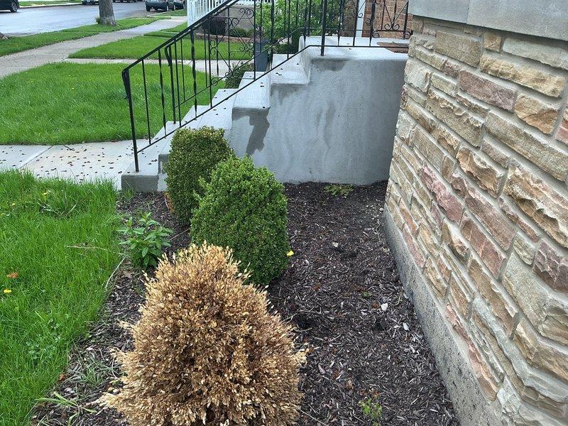 Completed initial plumbing service consultation and site assessment for residential property. Documented exterior conditions and property layout for scheduling upcoming repair work. Customer approved recommended repairs and project has been queued for installation scheduling.