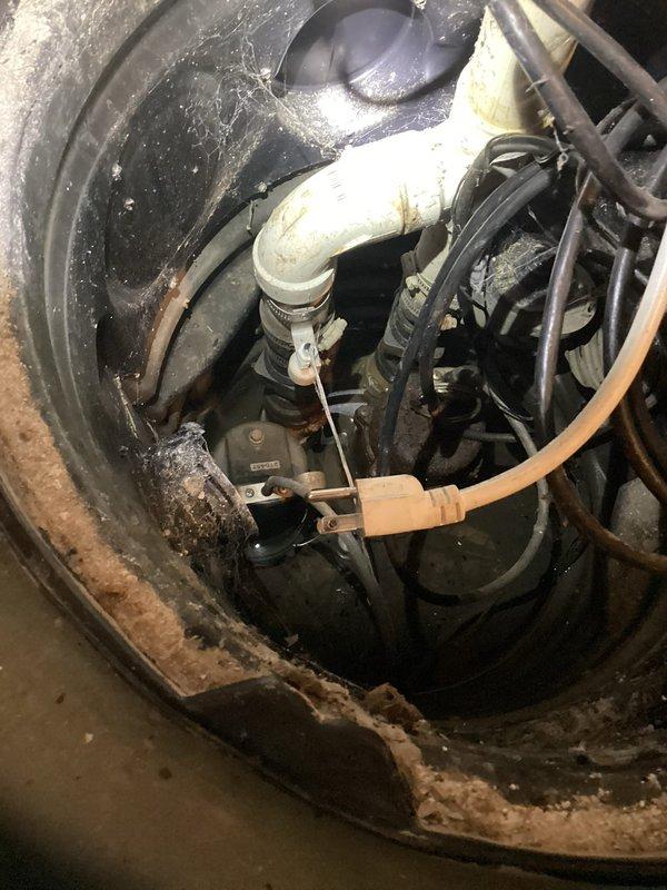 Completed routine sump pump inspection in basement of century-old home. Examined pump assembly, discharge piping, electrical connections, and basin condition; verified proper operation and drainage function. No issues identified; pump operating within normal parameters with appropriate water level control and discharge flow.