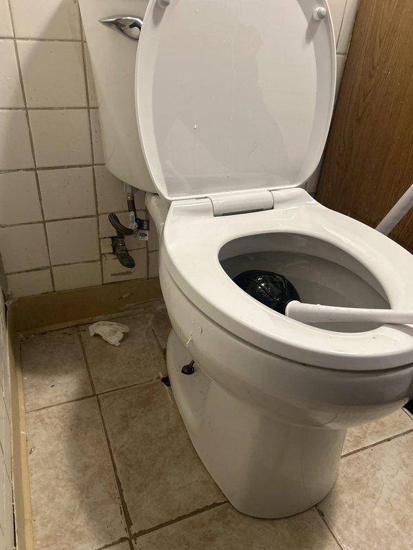 Responded to service call for toilet not flushing properly. Upon inspection, found toilet bowl retaining dark water indicating drainage obstruction. Investigated drain line and identified blockage in main waste line beneath fixture. Cleared obstruction from drainage system to restore proper flow and flushing function. Verified toilet operation and confirmed complete drainage after repair.