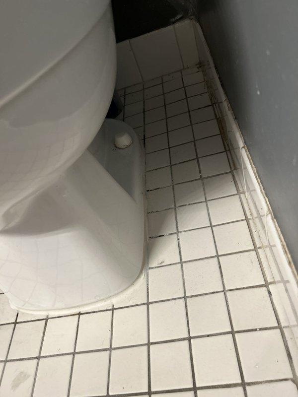 Responded to multiple plumbing concerns in residential bathroom. Addressed foul odor emanating from toilet area, particularly noticeable when exhaust fan operates, indicating potential wax ring failure at toilet base. Diagnosed slow tank refill issue causing 20-minute delay between flushes, likely due to faulty fill valve or supply line restriction. Assessed leaking shower faucet handles requiring replacement. Inspected radiator pipe with seasonal dripping issue during winter months. Documented existing conditions including white two-piece toilet with chrome flush handle, white tile flooring with darkened grout showing age-related wear, and overall bathroom layout for repair planning and parts ordering.