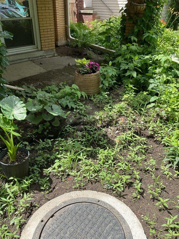 Responded to follow-up service call for previously installed floor control system where sinkhole had developed around manhole access point. Coordinated with dig crew to address soil settlement and subsidence issues surrounding the manhole structure. Documented site conditions showing compromised soil stability in garden area adjacent to utility access cover, with visible depression and settling around concrete ring. Assessed structural integrity of manhole and surrounding installation to determine extent of remediation required for proper drainage function and safety compliance.