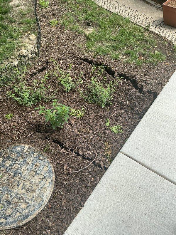 Responded to warranty callback for sinkhole formation in landscaped area following previous flood control installation. Conducted site inspection and documented current condition of affected garden bed, including mulched areas, plantings, decorative elements, and adjacent hardscaping. Photos captured to assess soil settlement patterns and determine necessary corrective measures for warranty resolution.