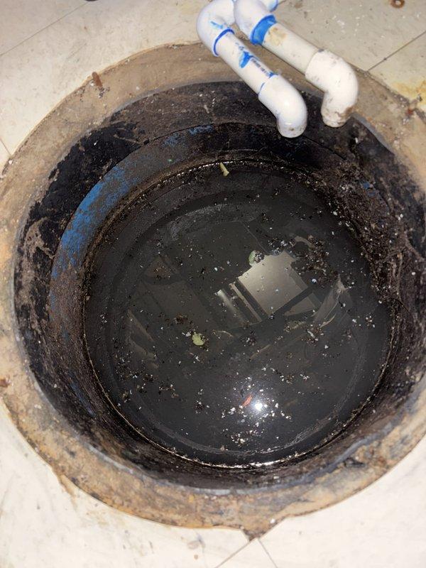 Responded to service call for bathroom toilet not draining and water backing up through laundry drain pipe. Upon investigation, identified a main drain line blockage causing wastewater to backup through the plumbing system. Cleared the obstruction using appropriate drain cleaning equipment, restoring proper drainage to both the toilet and laundry drain line. Tested system to verify complete flow restoration and proper drainage function throughout affected fixtures.