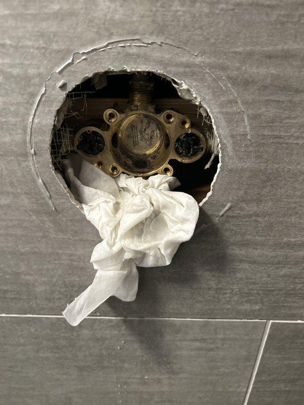 Accessed shower valve through existing wall opening in tiled bathroom. Removed and replaced faulty cartridge assembly from brass mixing valve. Tested operation to ensure proper hot and cold water control and verified no leaks at valve body connections.