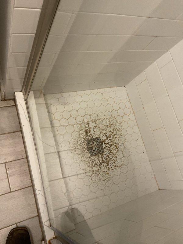 Responded to service call for shower drain backup and standing water issue. Upon arrival, found significant accumulation of hair and organic debris blocking the shower drain, preventing proper drainage. Removed debris buildup from drain opening and surrounding hexagonal tile floor area. Cleared obstruction to restore normal water flow through the drainage system. Verified proper drainage function upon completion of cleaning.