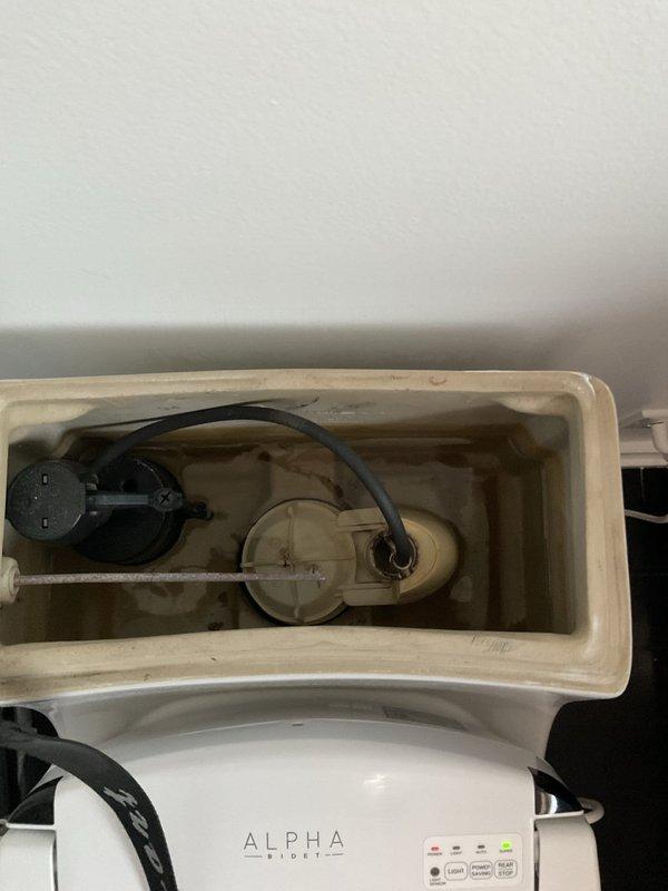 Inspected toilet tank and flushing mechanism components, including rubber flapper valve and float assembly. Assessed internal tank condition, noting mineral deposits and water staining on ceramic surfaces. Verified proper operation of electronic bidet seat attachment with control panel functionality. Documented existing plumbing fixtures and scheduled return appointment with two-person crew for repair completion.