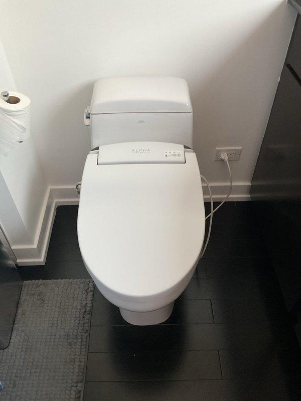 Inspected toilet tank and flushing mechanism components, including rubber flapper valve and float assembly. Assessed internal tank condition, noting mineral deposits and water staining on ceramic surfaces. Verified proper operation of electronic bidet seat attachment with control panel functionality. Documented existing plumbing fixtures and scheduled return appointment with two-person crew for repair completion.