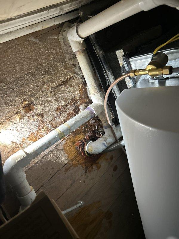 Responded to active water leak in utility room of 50+ year old residence. Upon arrival, observed significant water staining and discoloration on concrete floor surrounding furnace and hot water heater equipment. Conducted thorough visual inspection of all visible plumbing components including white PVC drain lines, copper supply tubing, and brass fittings connected to water heating equipment. Traced water damage patterns across utility room floor to identify potential leak source. Inspected all accessible piping connections, joints, and equipment interfaces for signs of active moisture or dripping. Also inspected bathroom plumbing fixtures including shower area with hexagonal tile flooring and drain assembly to rule out secondary leak sources. Documented findings with photographs showing extent of water damage and condition of plumbing systems. Leak location service completed with findings reported to property owner for next steps regarding repair recommendations.