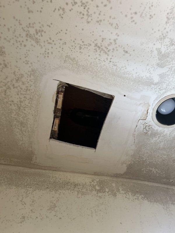 Responded to a multi-issue plumbing service call at a century-old residence to address a long-standing shower leak, investigate water damage from an upstairs pipe leak affecting the downstairs ceiling, and diagnose a slow-filling toilet.

Upon arrival, conducted a comprehensive inspection of the shower stall and identified significant water damage at the base of the tiled shower wall where tiles had been removed or fallen away, exposing deteriorated substrate material behind the tile assembly. The shower fixture and surrounding tile work showed signs consistent with chronic moisture intrusion. Assessed the handheld shower system and wall-mounted controls for potential leak sources.

Proceeded to the downstairs ceiling area directly below the suspected upstairs pipe leak. Documented extensive water damage evidenced by widespread dark speckling and staining across the ceiling surface, with heavier concentration in specific areas indicating active or recent moisture exposure. An existing 