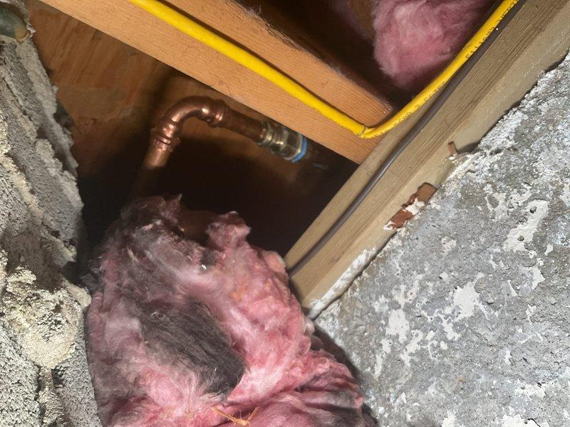 Responded to basement flooding concern related to ejector pump system. Conducted thorough inspection of ejector pump pit to assess for blockages or mechanical failures that may have caused storm drain overflow. Evaluated pump operation, discharge piping, and check valve function to determine root cause of backup. Additionally inspected and assessed damaged piping connected to exterior hose bib in basement requiring repair. Documented plumbing conditions with photographs including under-sink drainage systems and copper supply line installations with compression fittings in crawl space area.