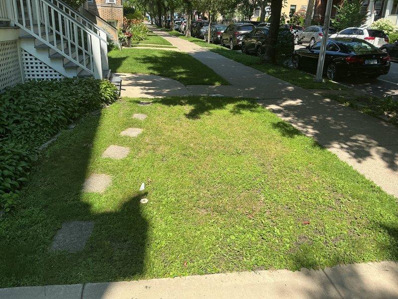 Completed drain and sewer estimate for installation of a new front access cleanout pipe on a 125-year-old residential property currently lacking any existing cleanout access for root clearing maintenance. Assessed site conditions including proximity to busy street traffic, existing lawn with stepping stone pathway, and determined optimal cleanout placement location in front yard area to provide accessible entry point for future drain cleaning and root removal services.