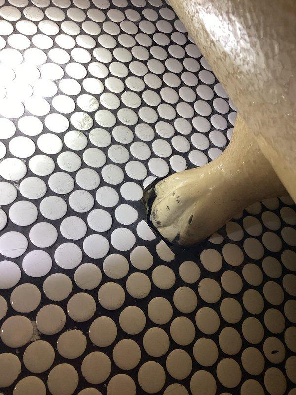 Completed plumbing repair service in residential bathroom. Assessed toilet installation and surrounding floor conditions, documenting existing penny tile flooring and toilet base condition showing age-related wear and discoloration at floor connection point. Provided repair recommendations and sold necessary plumbing services to address identified issues.