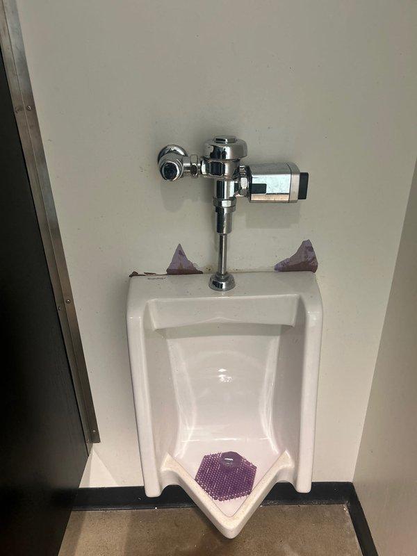 Provided estimate for commercial restroom plumbing repairs involving conversion of automatic flush valve to manual operation on urinal due to insufficient water flow to sensor mechanism. Assessment included evaluation of recurring drain clog requiring clearance. Documented existing automatic flush valve assembly with chrome sensor-equipped fixture and measured dimensions of current installation to specify appropriate manual flush valve replacement components.