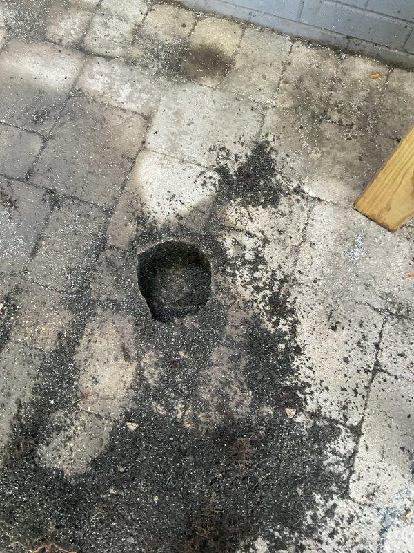 Responded to customer complaint of toilets backing up when water was turned on. Upon investigation, identified drainage system obstruction affecting toilet operation. Inspected floor drain and surrounding plumbing infrastructure to locate source of backup issue. Cleared blockage from drainage line to restore proper water flow and eliminate backup condition. Verified all toilets flushing properly and draining correctly after service completion.