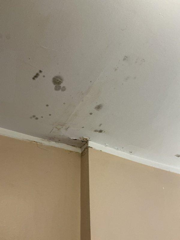 Responded to bathroom ceiling water leak in condo unit with active dripping and visible water damage including dark staining, mold growth, and deteriorated trim at wall-ceiling junction. Conducted visual inspection and documented extensive moisture damage to ceiling surface and corner molding, with discoloration ranging from gray to brownish-black indicating prolonged water infiltration. Obtained contact information for third-floor unit owner above to coordinate access for source identification, as leak appears to originate from upstairs plumbing system but access was unavailable during this visit.