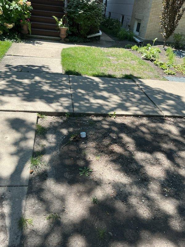 Conducted comprehensive plumbing assessment for lead service line replacement, evaluating existing water service infrastructure and concrete areas requiring excavation work along driveway and walkway. Inspected basement bathroom to diagnose sewer odor issues and assessed boiler room mechanical systems to provide recommendations for improved space efficiency and equipment layout. Documented existing conditions including exterior concrete surfaces, interior mechanical room access points, and current plumbing configuration to develop estimate for water pressure improvement through service line upgrade.