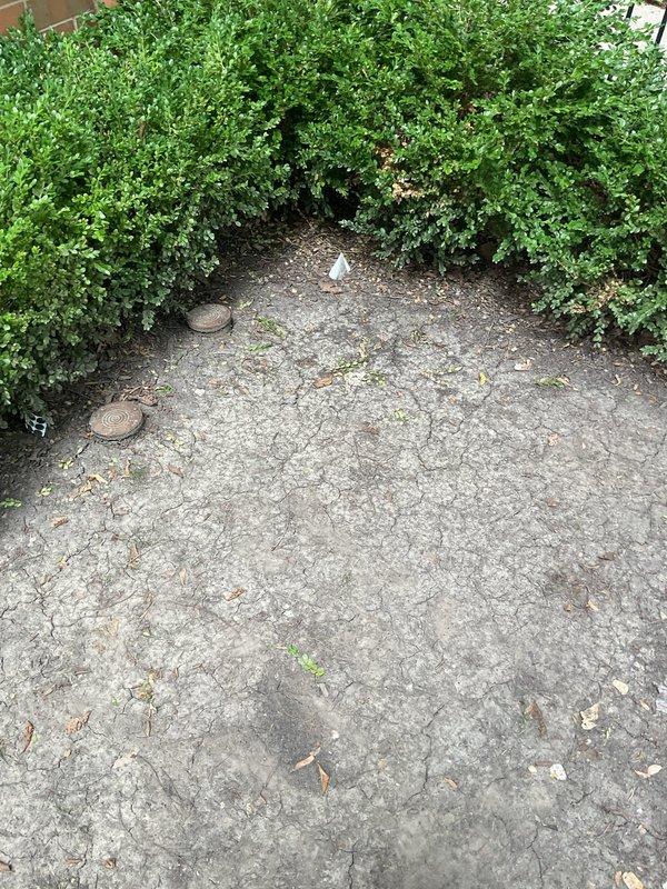 Responded to drainage backup caused by root intrusion in main sewer line. Previous service providers had declined the job due to complexity. Successfully cleared the blockage and restored proper drainage flow through the system. Accessed utility cleanouts in side yard area to perform root removal and line clearing procedures, resolving the backup issue that other companies were unable to address.