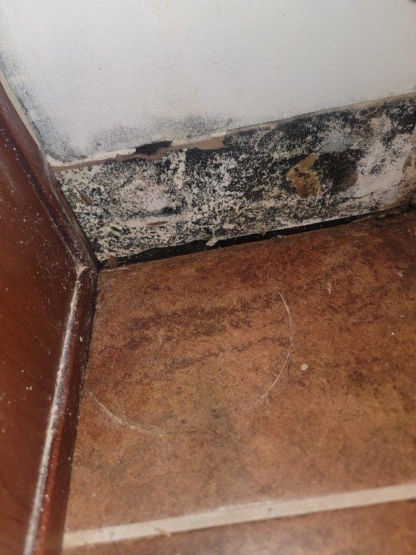 Responded to leak reported at toilet base in 20-year-old residential property. Upon inspection, discovered active water seepage from beneath toilet fixture with extensive black mold growth along baseboards and wall-floor junction, indicating prolonged moisture exposure. Removed toilet to access flange and wax ring seal. Found deteriorated wax ring allowing water to escape during flushing cycles, compromising subfloor integrity. Inspected toilet flange for damage and proper mounting height. Replaced failed wax ring with new seal, ensuring proper compression and watertight connection. Reinstalled toilet with new closet bolts, torqued to manufacturer specifications to prevent future rocking or seal failure. Tested flush cycles to verify complete seal restoration with no visible leakage. Advised property owner of significant mold remediation needs along affected wall surfaces and recommended professional moisture assessment of subfloor and wall cavities to determine extent of water damage 