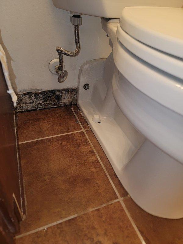 Responded to leak reported at toilet base in 20-year-old residential property. Upon inspection, discovered active water seepage from beneath toilet fixture with extensive black mold growth along baseboards and wall-floor junction, indicating prolonged moisture exposure. Removed toilet to access flange and wax ring seal. Found deteriorated wax ring allowing water to escape during flushing cycles, compromising subfloor integrity. Inspected toilet flange for damage and proper mounting height. Replaced failed wax ring with new seal, ensuring proper compression and watertight connection. Reinstalled toilet with new closet bolts, torqued to manufacturer specifications to prevent future rocking or seal failure. Tested flush cycles to verify complete seal restoration with no visible leakage. Advised property owner of significant mold remediation needs along affected wall surfaces and recommended professional moisture assessment of subfloor and wall cavities to determine extent of water damage 