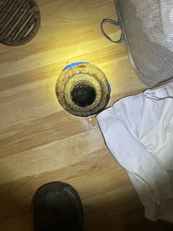 Responded to complaint of foul odor emanating from basement drain. Upon inspection, removed toilet flange assembly to access drain line. Discovered accumulated debris and buildup within the drain system causing the malodorous condition. Extracted foreign material and organic matter from the line. Cleaned flange assembly and surrounding components, removing sediment and grime. Cleared obstruction to restore proper drainage flow and eliminate odor source. Reassembled components and verified system function upon completion.
