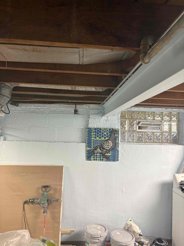 Conducted comprehensive site assessment of existing plumbing system in basement utility area to prepare repiping estimate for conversion from current piping to copper material. Documented exposed piping infrastructure, including water supply lines and drainage systems visible in ceiling joists and wall penetrations. Evaluated HVAC ductwork proximity and spatial constraints for proposed copper pipe routing. Additionally assessed sump pump discharge line requirements and photographed existing conditions including glass block window locations, structural beams, and available workspace for future installation. Measurements and visual documentation completed to provide accurate material quantities and labor estimates for full copper repipe project.