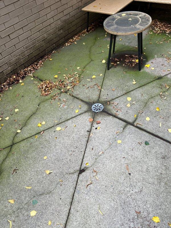 Inspected and tested operation of basement sump pump and ejector pump system, verifying proper function of multiple PVC discharge lines with red-handled valves and brass fittings. Evaluated outdoor patio drain experiencing debris accumulation issues, with leaves and organic matter collecting around central circular drain cover. Provided estimate for installation of protective grate system to prevent leaves and debris from entering drainage line and causing potential blockages.