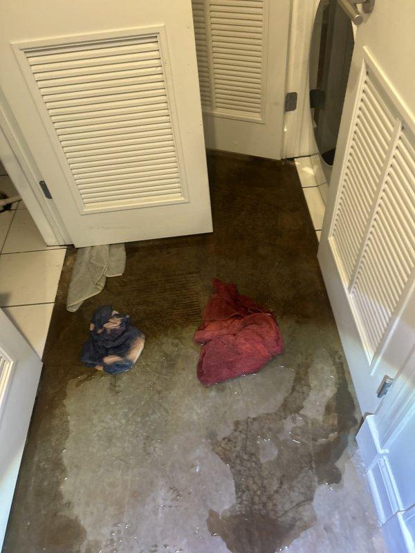 Responded to water leak investigation request for active water intrusion affecting first floor and basement areas. Upon arrival, observed extensive water damage throughout main hallway with significant staining and discoloration on concrete flooring, indicating ongoing moisture infiltration. Conducted visual inspection of affected areas and documented conditions with photographs showing irregular wet patterns and pooling across floor surfaces. Multiple louvered doors accessing utility spaces were examined as potential source points. Water damage patterns suggested moisture migration from upper level penetrating through to lower basement area. Provided assessment findings and recommendations for repair estimates to address identified water intrusion issues.