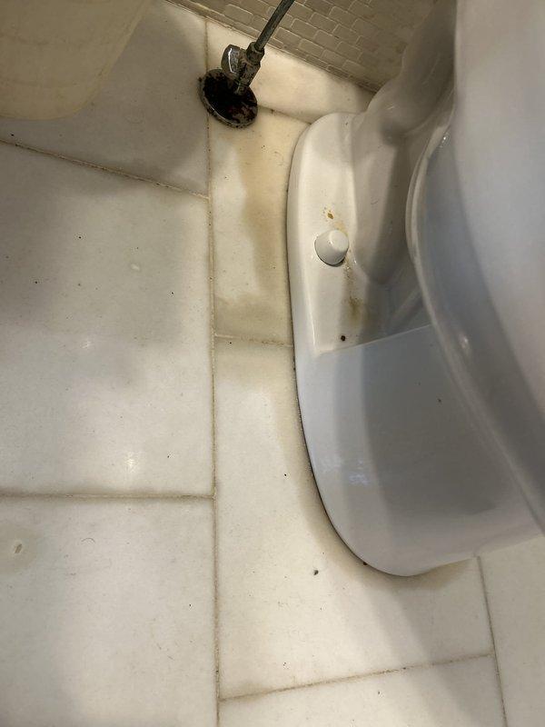 Responded to service call for toilet inspection due to suspected leak and ring formation around base. Upon arrival, performed thorough visual assessment of toilet and surrounding floor area. Identified significant discoloration and staining on grout lines and tile surfaces adjacent to toilet base, indicating potential water seepage. Inspected toilet bowl, base connection, and wax ring seal for signs of active leaking. Documented conditions with photographs showing brownish-yellow staining patterns on floor tiles near toilet fixture, consistent with chronic moisture exposure. Toilet appears structurally sound with no visible cracks in porcelain. Recommended wax ring replacement and base re-sealing to prevent further water damage to flooring and subfloor.
