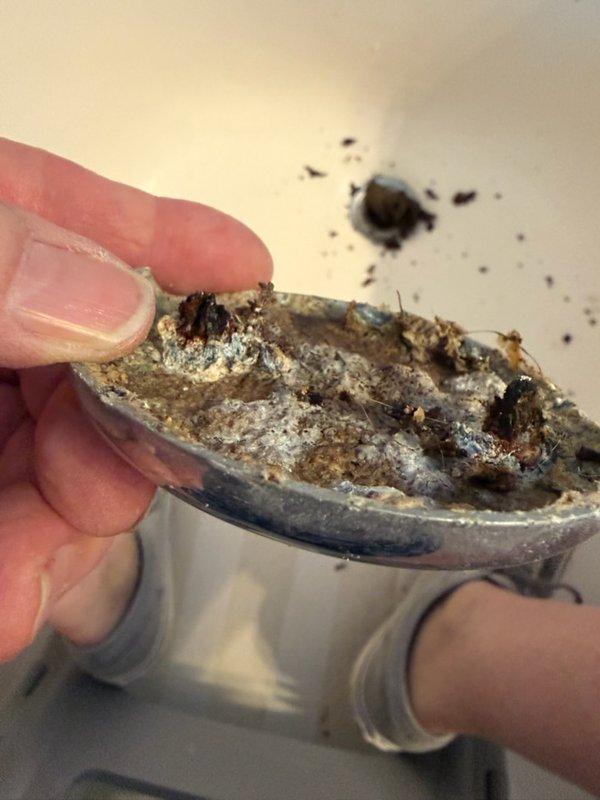 Responded to callback for shower leak now penetrating into basement level. Upon inspection, identified heavily corroded overflow drain assembly and main drain strainer with significant buildup causing improper seal and water bypass. Removed deteriorated drain components exhibiting rust staining, mineral deposits, and organic debris accumulation. Documented existing conditions showing compromised metal fixtures and inadequate drainage function. Addressed leak source at tub overflow and drain assembly to prevent further water intrusion into lower level.