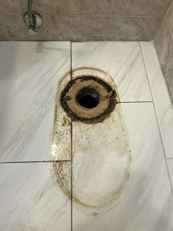 Responded to service call for leaking toilet. Upon inspection, identified water leakage affecting bathroom floor area with visible water damage and staining around floor drain. Documented existing conditions including discoloration on tile and grout lines indicating prolonged moisture exposure. Assessed plumbing fixtures and drainage system to determine source of leak and completed necessary repairs to resolve the issue.