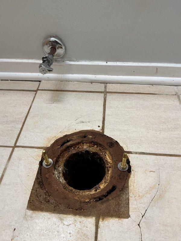 Completed replacement of two bathtub drains and one toilet using customer-supplied fixtures. The existing toilet flange showed significant rust corrosion and deterioration, with surrounding floor tiles displaying water damage staining. Both bathtub drain assemblies, including chrome drain covers and overflow plates, were successfully removed and replaced with new hardware provided by the customer.