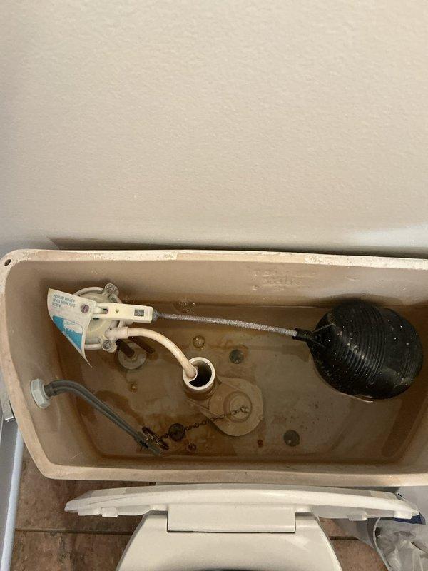 Completed scheduled water heater flush on first floor unit in 30-year-old residence. Drained and flushed tank to remove sediment buildup, inspected all connections and valves, and verified proper operation of venting system. Additionally inspected toilet tank components during visit, noting mineral deposits and water staining consistent with age of home; all plumbing fixtures found operational with no immediate concerns reported by homeowner.