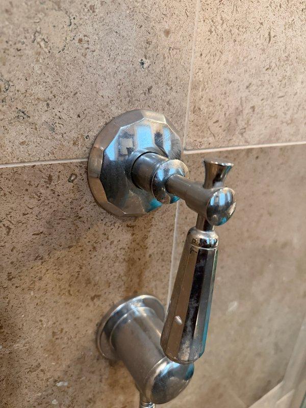 Responded to service call for reported shower leak. Upon inspection, identified worn shower valve cartridge with visible deterioration of chrome-plated trim and escutcheon. Documented existing conditions showing compromised fixture finish and aging valve stem assembly. Removed deteriorated shower handle and trim to expose valve cartridge for replacement assessment. Provided estimate for complete valve cartridge replacement and trim kit installation to resolve leak and restore proper fixture operation.