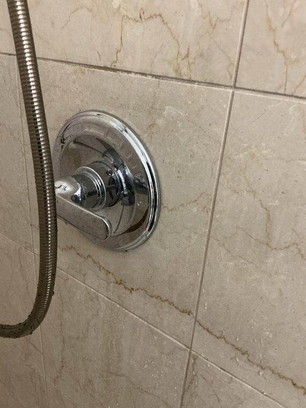 Replaced two worn shower cartridges in separate bathroom shower valves to restore proper water flow and temperature control. Both fixtures were single-handle chrome shower valves with signs of mineral buildup and age-related wear. All components were tested for proper operation and leak-free performance upon completion.