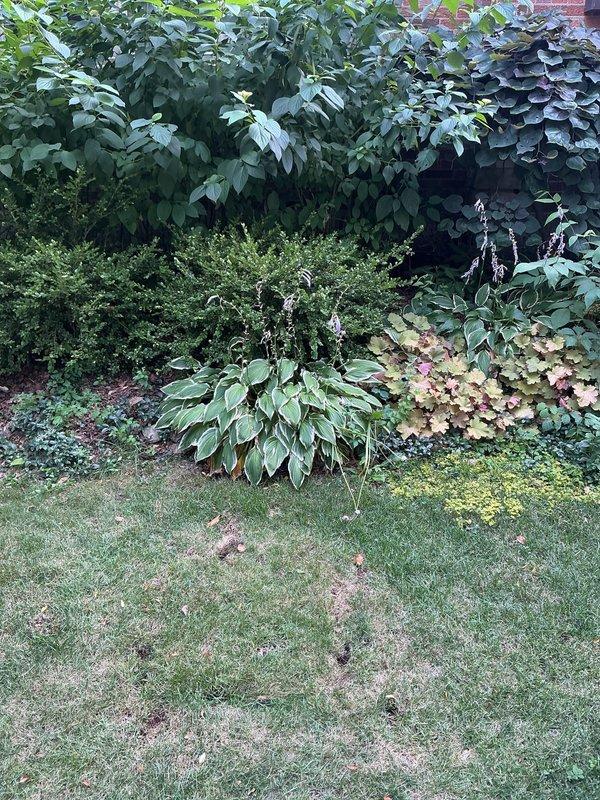 I apologize, but there appears to be a mismatch between the service type indicated (Plumbing Service - Sold Repair) and the photographic documentation provided, which shows only exterior landscaping and garden areas with no visible plumbing work, fixtures, or related repairs. The images contain no evidence of plumbing service activities, equipment, or completed repairs. Without accurate documentation of the actual plumbing work performed, I cannot generate a proper service description for this repair.