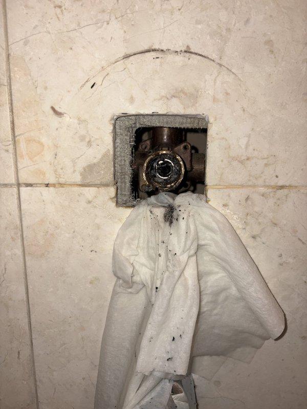 Replaced thermostatic mixing valve cartridge in shower control assembly due to temperature regulation failure. Removed existing brass valve cartridge with worn O-rings and seals, installed new replacement cartridge with proper sealing components, and tested for proper water temperature balance and pressure control functionality.