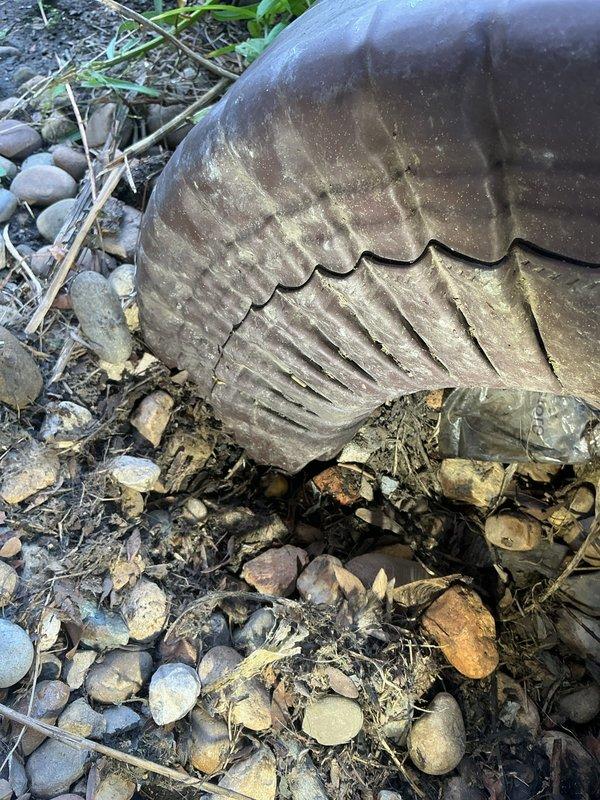 Responded to service call for catch basin with compromised flow following recent hydro jetting work. Upon inspection, identified structural cracks in the catch basin that were contributing to drainage issues. Documented the condition of the basin and surrounding area with photographs to assess whether repair is feasible or if complete replacement will be necessary.