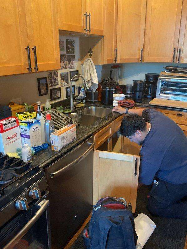 Performed kitchen sink drain repair and inspection underneath the cabinet. Accessed the P-trap assembly and chrome drain tailpiece to diagnose and address drainage concerns. Completed necessary adjustments to the plumbing fixtures and verified proper operation of the sink drain system.