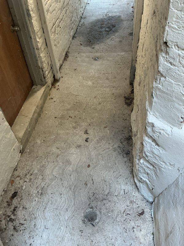 Responded to clogged drain service call at residential property. Upon arrival, inspected outdoor walkway alongside building and interior shower enclosure area where drainage issues were reported. Assessed concrete surfaces showing signs of prolonged moisture accumulation and poor drainage patterns. Identified two floor drains in shower stall requiring attention due to slow drainage and standing water concerns. Cleared blockages from drain lines, restored proper water flow, and verified drainage functionality in both locations. Documented site conditions with photographs for service records.