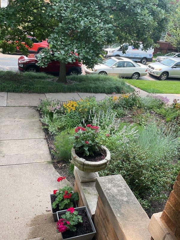 Conducted comprehensive assessment and prepared detailed estimate for complete main water line replacement at century-old residential property. Performed thorough inspection of existing water service infrastructure, evaluated current line condition, assessed property layout including established landscaping and hardscape features, and documented site conditions through photographic records. Customer requested proactive estimate with no active leaks or service disruptions reported at time of visit.