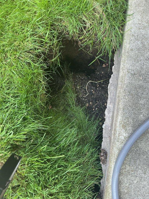 Responded to a plumbing service call at a residential property to address an outdoor drainage issue. Upon arrival, identified a ground-level access point or drainage opening located at the junction between the concrete patio and lawn area. Inspected the cavity and surrounding area, noting exposed soil and potential water infiltration concerns. Documented the existing conditions of the outdoor plumbing infrastructure, including hose connections and drainage pathways along the patio perimeter. Completed photographic documentation of the work area for service records.