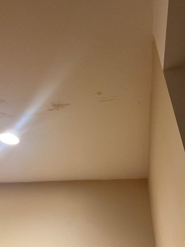 Responded to priority ceiling leak in century-old residence. Upon arrival, conducted visual inspection and documented extensive water damage on ceiling surfaces, with dark brownish-gray staining and discoloration patterns indicating active or recent water intrusion from above. Photographed affected areas showing multiple streak marks and irregular stain patterns across ceiling near recessed lighting fixture. Assessed damage severity and documented conditions for further diagnostic work to locate source of leak in plumbing system or building envelope above affected room.