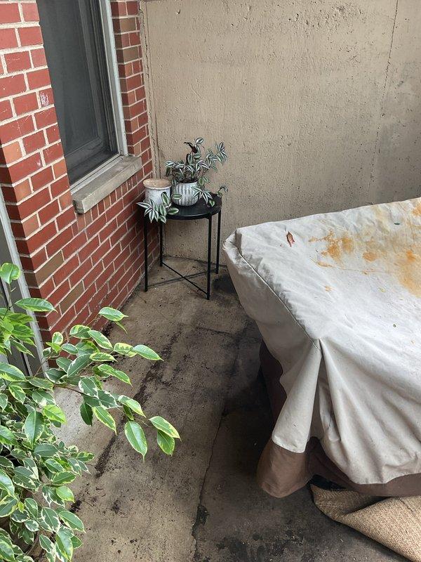 Responded to service call for two clogged underground drains at residential property. Successfully cleared both drain lines extending approximately 80 feet below ground level using professional drain cleaning equipment. Accessed drain lines through outdoor patio area, protected surrounding surfaces and furnishings during service, and confirmed proper water flow restoration upon completion.