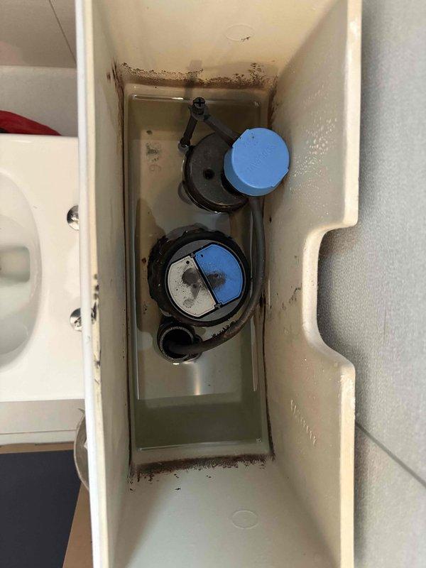 Serviced two Duravit two-piece toilets experiencing intermittent running water issues. Replaced internal flush valve assemblies and fill valve components in both toilet tanks to resolve continuous water flow problems. Installed customer-provided toilet seat on one unit with replacement mounting hardware to ensure proper fit and secure attachment.