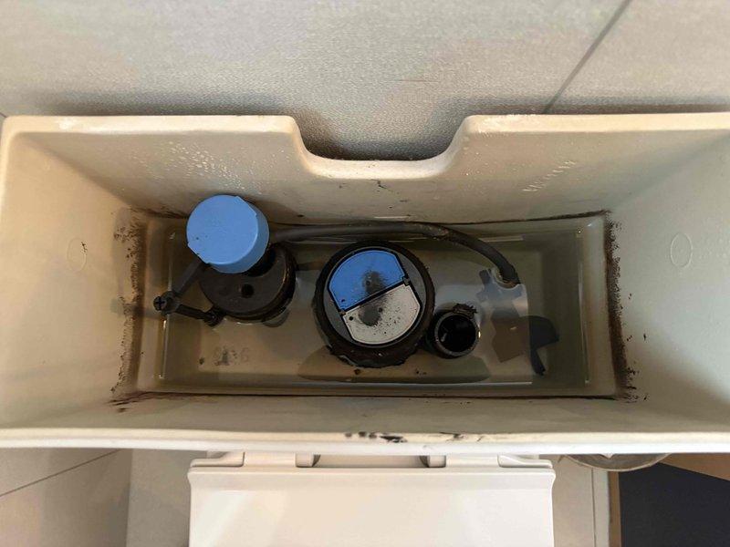Serviced two Duravit two-piece toilets experiencing intermittent running water issues. Replaced internal flush valve assemblies and fill valve components in both toilet tanks to resolve continuous water flow problems. Installed customer-provided toilet seat on one unit with replacement mounting hardware to ensure proper fit and secure attachment.