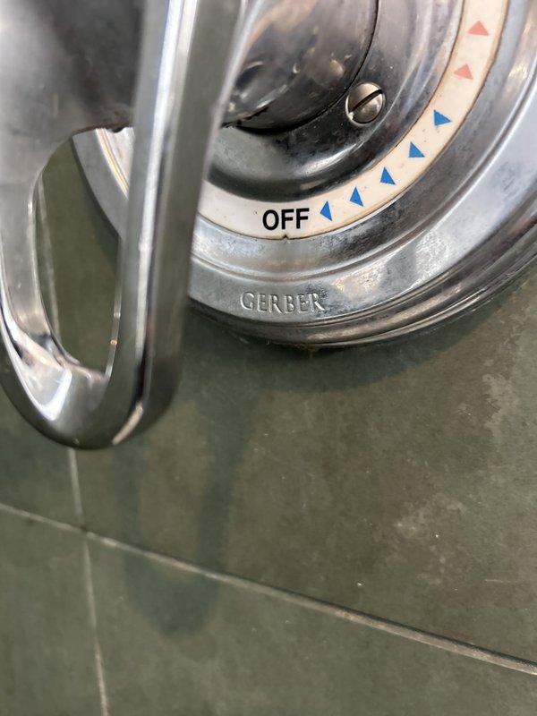 Completed shower valve repair and inspection of dual showerhead system. Serviced Gerber brand shower control valve, ensuring proper operation of temperature control mechanism and verified OFF position functionality. Inspected chrome fixtures, handheld showerhead assembly with sliding bar bracket, and overhead rain showerhead for proper water flow and secure mounting on tiled shower enclosure.