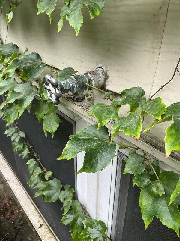 Responded to a clogged drain service call and successfully cleared a bathtub drain obstruction. Upon arrival, found the tub with significant drainage issues and visible standing water staining. Used professional drain cleaning equipment to remove the blockage and restore proper water flow, then tested the system to ensure complete drainage functionality.