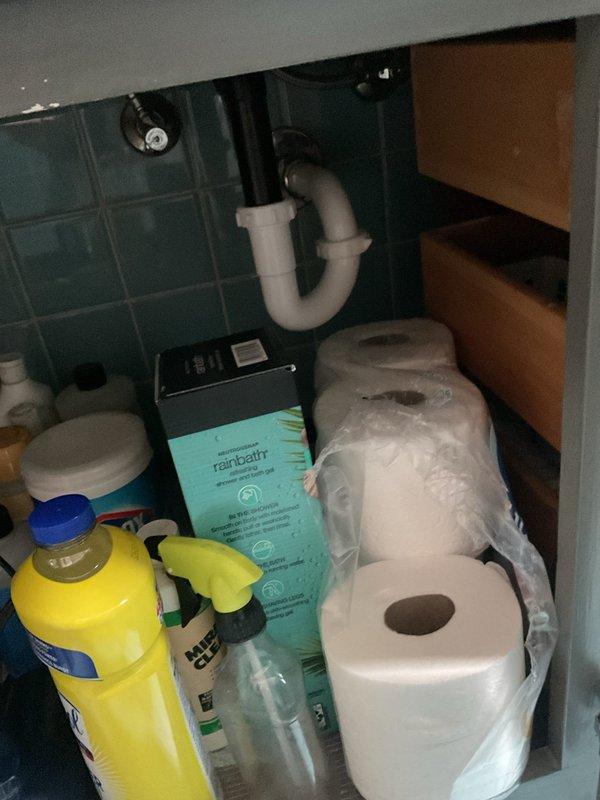 Completed VIP plumbing maintenance inspection of residential water supply system and under-sink plumbing. Documented condition of bathroom vanity cabinet P-trap assembly and main water supply manifold with dual shut-off valves, confirming all connections secure and operational.