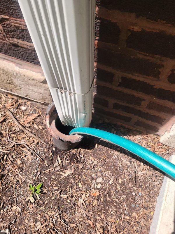 Responded to service call for French drain cleaning and inspection at century-old residential property. Upon arrival, located exterior drainage system at building foundation where downspout connects to underground French drain line. Performed thorough inspection of accessible drainage components, including downspout connection point and French drain entry at foundation level. Verified proper water flow through system and assessed condition of drain line opening. Documented existing drainage configuration with turquoise flexible connector hose linking downspout discharge to French drain intake point in mulched landscape area adjacent to brick exterior wall.